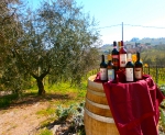 I nostri prodotti (3)